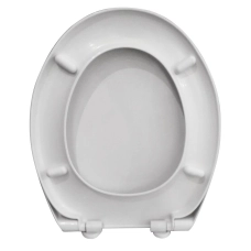 Сидіння для унітазу IMPRESE KAMPA i1109(2)
